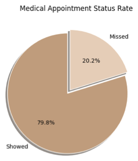 Pie chart showing 80% of appointments were showed and 20% missed